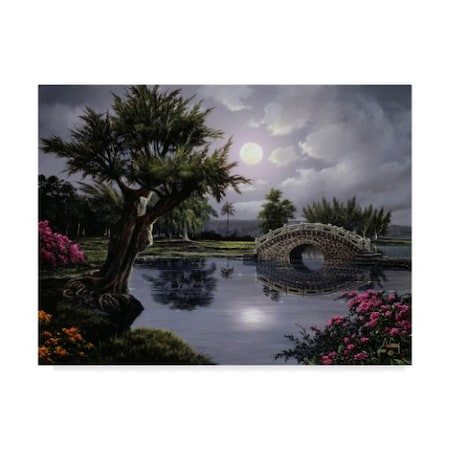Anthony Casay 'Garden Scene 12' Canvas Art,24x32